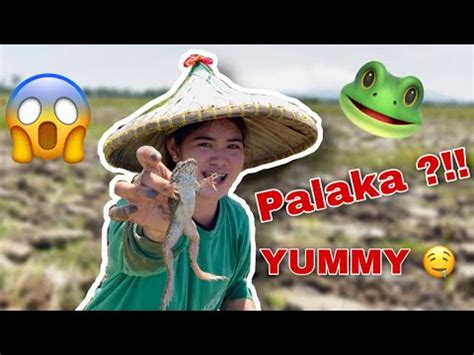 sulasok.com kamangyan|Palakang Bukid Catch and Cook ( Ang Sarap ) KaMangyan Vlogs.